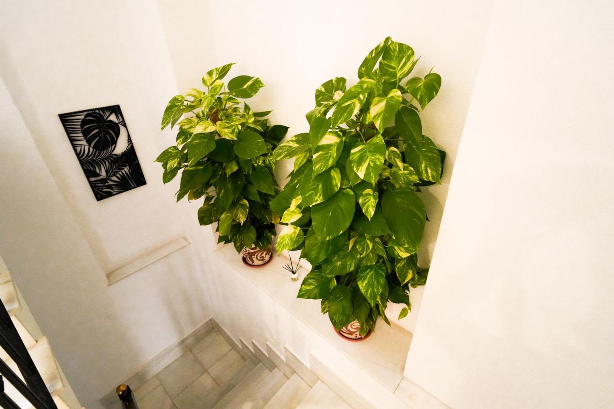 Apartamentos Consistorio Live Jerez de la Frontera Buitenkant foto