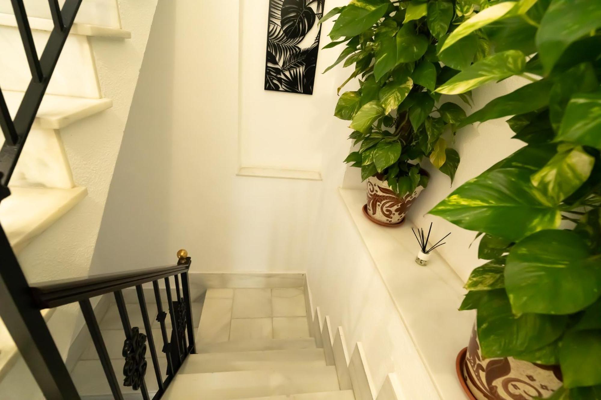 Apartamentos Consistorio Live Jerez de la Frontera Buitenkant foto
